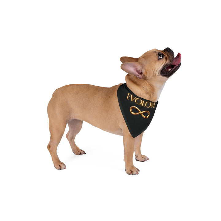 Evolove Gold Infinity Pet Bandana