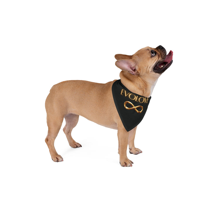 Evolove Gold Infinity Pet Bandana